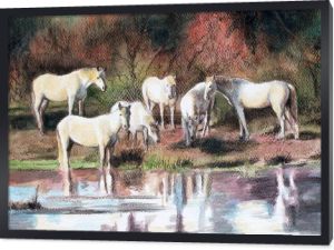 Akwarela: stado białych koni nad wodą.