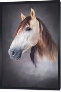 fotografia stylizowana jako portret białego konia