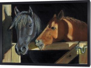 obraz konia głów w stodole bramy