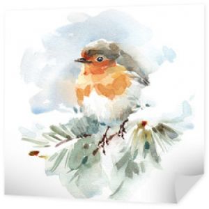 Akwarela ptak Robin na śnieżnej gałęzi ręcznie rysowane zima ilustracja na białym tle