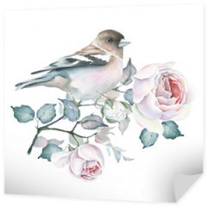 Akwarela ptak i bukiet róż. Białe i różowe róże. Ilustracja kwiatowy. Zwierzęta i kwiaty. Kompozycja botaniczna na ślub, kartki okolicznościowe lub inne projekty
