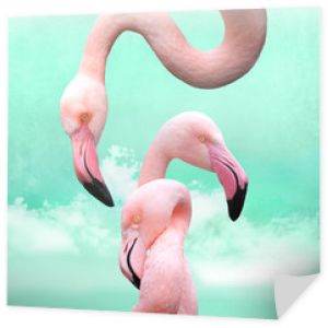 zabawne, jasnoróżowe flamingi przed turkusowym chmurnym niebem, mogą być użyte jako tło