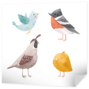 Cute vector watercolor chick lark quail bird illustration set for children print