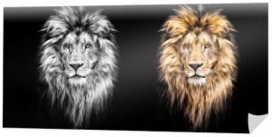 Portret pięknego lwa, lew w ciemności, farby olejne