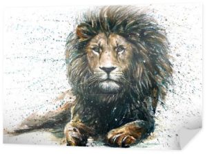 Król lew malarstwo akwarela zwierzęta drapieżnik dzikość 
