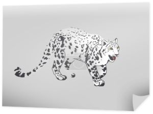 Snow Leopard (Panthera Uncia lub Irbis)