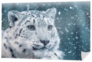 Snow leopard, Irbis Uncia uncia