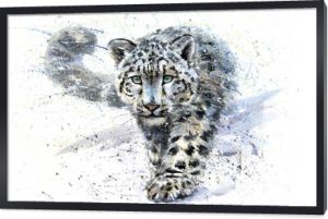 Snow leopard akwarela