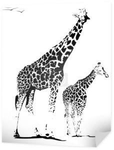 ilustracja żyrafa