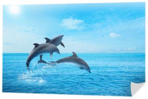 Beautiful bottlenose dolphins jumping out of sea with clear blue water on sunny day