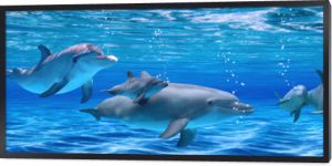 Panorama podwodnego życia. Delfiny