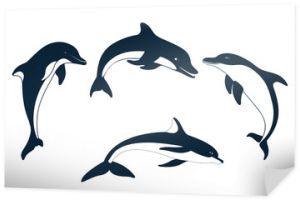 Zestaw sylwetki delfina