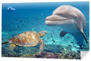 delfin i żółw pod wodą na rafie