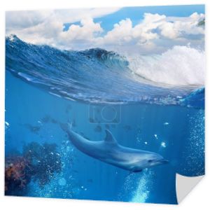 łamanie fala oceanu i Delfin pływanie pod wodą