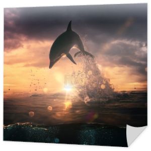 piękne Delfin skoki z lśniące wody