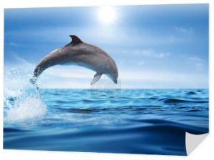 Piękny delfin z butelki skacze z morza z czystą niebieską wodą w słoneczny dzień 