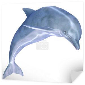 niebieski Delfin
