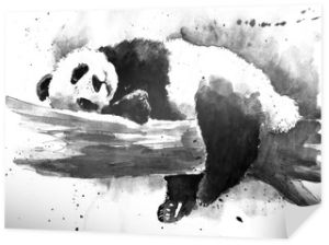Akwarela czarno-biały rysunek pandy