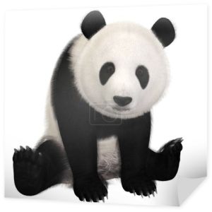 3d renderowanie cute panda