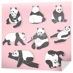 Słodki Miś Panda ilustracje, zbiór wektor ręcznie rysowane elementy, czarno-białe ikony