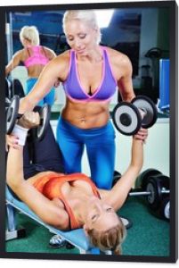 Piękne kobiety ćwiczące z osobistym trenerem fitness