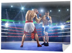 Dwóch zawodowych bokserów walczy na arenie