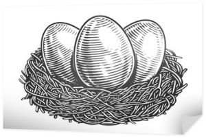 Chicken Eggs in nest. Organic farm products. Hand drawn sketch vintage vector illustration