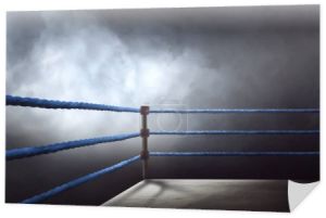 Widok z regularnych ringu, otoczony niebieski liny