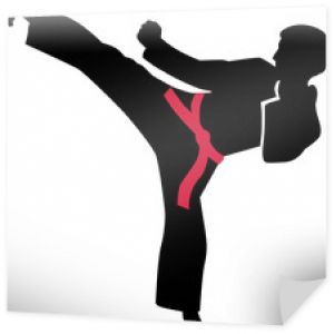 Kopnięcie karate z czerwonym pasem