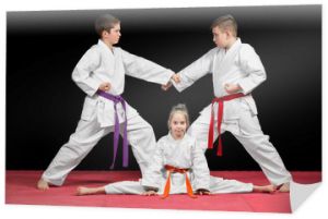 Grupa dzieci Karate sztuki walki
