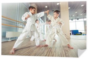 młode, piękne, odnoszące sukcesy multietyczne dzieci w pozycji karate