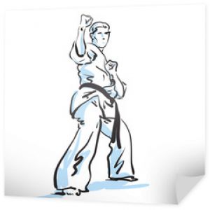 zawodnik karate, ilustracji wektorowych