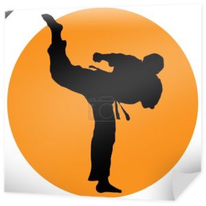 Sztuki walki. Karateków walki scena sylwetka szkolenie plakat.