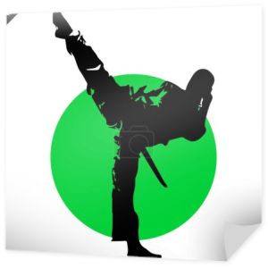 Wojownik karate kimono, dogi kopnięcie taekwondo, hapkido. Wektor. EPS.