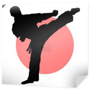 Wojownik karate kimono, dogi kopnięcie taekwondo, hapkido. Wektor. EPS.