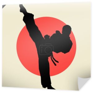 Sztuka walki kolorowy simbol, logo. Godło twórczego projektowania karate.