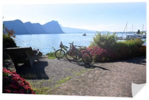 Vitznau, Szwajcaria - 29 września 2019: Rowery górskie w pobliżu pięknych kwiatów nad brzegiem jeziora Lucerna 