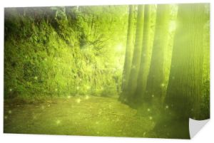 Piękny widok w tajemniczym lesie zielonym światłem bajki