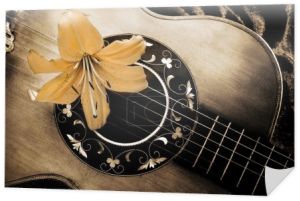 Vintage gitara i lilia