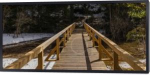Drewniany most ze światłem słonecznym w wiosennym lesie, sztandar 