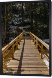 Drewniany most i świerki w lesie wiosennym 