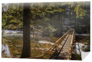 Drewniany most nad jeziorem z lodem w lesie 