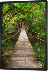 most do dżungli, park narodowy khao yai, Tajlandia