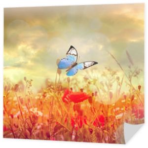 Beautiful butterfly and nice flowers. Summer landscape