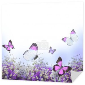 kwiaty w bukiet, hortensje niebieski i motyl