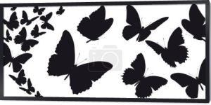 czarne sylwetki motyle na białym tle