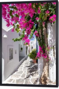 Biała aleja z kolorowymi kwiatami oleandrów i białymi domami na Cykladach w lecie, Grecja