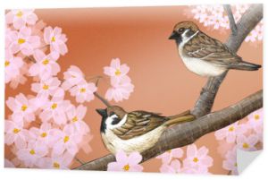 Ręcznie rysowane ilustracja wróbli zwyczajnych siedzących wśród japońskich kwiatów wiśni Yoshino
