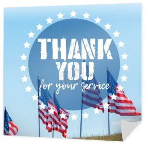narodowych amerykańskich flag na zielonej trawie przeciwko błękitne niebo z Dziękuję za ilustrację usługi
