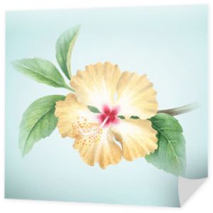 Akwarela ilustracja kwiatu hibiskusa
